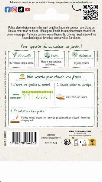 Fleurs - Pervenche de Madagascar en Mélange - MEDIA_PACKAGING_VERSO